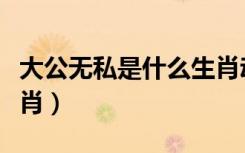 大公无私是什么生肖动物（大公无私是什么生肖）