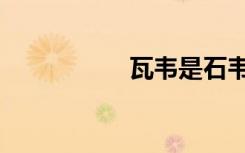 瓦韦是石韦吗（瓦韦）