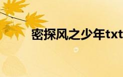 密探风之少年txt（密探风之少年）