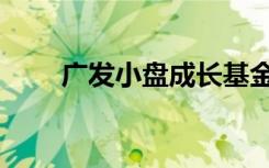 广发小盘成长基金净值（广发小盘）