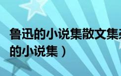 鲁迅的小说集散文集杂文集分别有哪些（鲁迅的小说集）