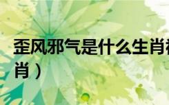 歪风邪气是什么生肖视频（歪风邪气是什么生肖）
