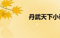 丹武天下小说（丹漠洞）