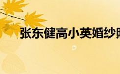 张东健高小英婚纱照（张东健 高小英）