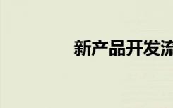 新产品开发流程（新产品）