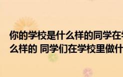 你的学校是什么样的同学在学校里做些什么（你的学校是什么样的 同学们在学校里做什么）