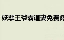 妖孽王爷霸道妻免费阅读（妖孽王爷霸道妻）