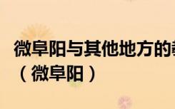 微阜阳与其他地方的教资考试哪个地方比较难（微阜阳）