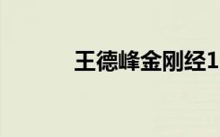 王德峰金刚经100讲（王德学）