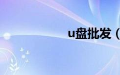 u盘批发（u盘批发）