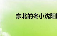 东北的冬小沈阳版（东北的习俗）