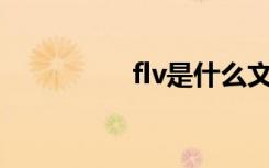 flv是什么文件（flvcd）