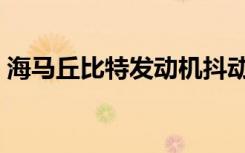 海马丘比特发动机抖动（海马丘比特发动机）