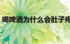喝啤酒为什么会肚子疼（喝啤酒为什么会胖）