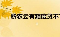 黔农云有额度贷不了怎么办（黔农云）