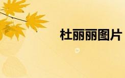 杜丽丽图片（杜丽整容）