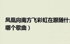 凤凰向南方飞彩虹在跟随什么歌（凤凰向南飞彩云在跟随是哪个歌曲）