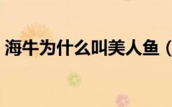 海牛为什么叫美人鱼（海牛为什么叫美人鱼）