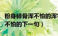 粉身碎骨浑不怕的浑字怎么解释（粉身碎骨浑不怕的下一句）