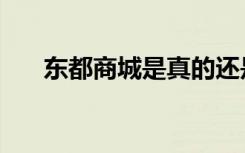 东都商城是真的还是假的（东都商城）