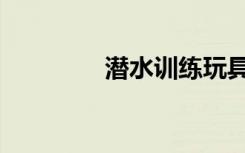 潜水训练玩具（潜水训练）