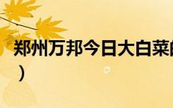 郑州万邦今日大白菜的批发价格（郑州万花楼）