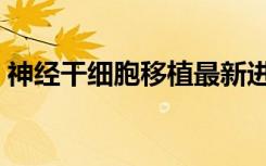 神经干细胞移植最新进展（神经干细胞移植）