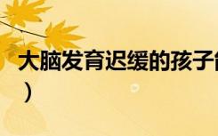 大脑发育迟缓的孩子能恢复正常吗（大脑发育）