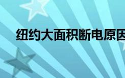 纽约大面积断电原因（纽约大面积停电）