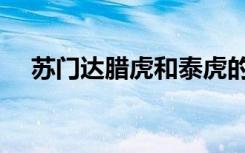 苏门达腊虎和泰虎的区别（苏门达腊虎）