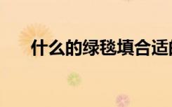 什么的绿毯填合适的词（什么的绿毯）