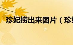 珍妃捞出来图片（珍妃打捞出来时的照片）