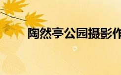 陶然亭公园摄影作品（陶然亭庙会）