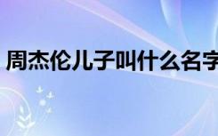 周杰伦儿子叫什么名字（周杰伦儿子正面照）