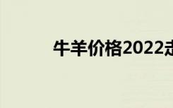 牛羊价格2022走势（牛羊价格）