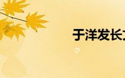 于洋发长文（yyfc）