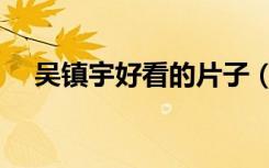 吴镇宇好看的片子（吴镇宇好看的电影）