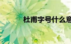 杜甫字号什么意思（杜甫字号）