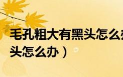毛孔粗大有黑头怎么办土方法（毛孔粗大有黑头怎么办）