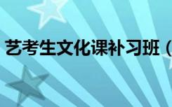 艺考生文化课补习班（艺考生文化课怎么学）