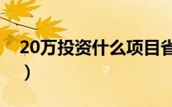 20万投资什么项目省心（20万投资什么项目）