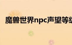 魔兽世界npc声望等级（wow神谕者声望）