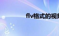 flv格式的视频（flv 转换）