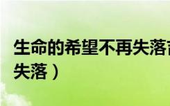 生命的希望不再失落吉他谱（生命的希望不再失落）