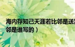 海内存知己天涯若比邻是送别诗句吗（海内存知己天涯若比邻是谁写的）