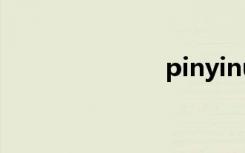 pinyinup  exe