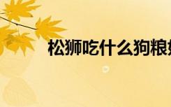 松狮吃什么狗粮好（松狮吃什么）