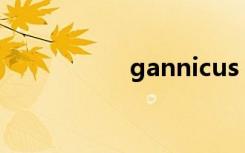 gannicus（gannes）