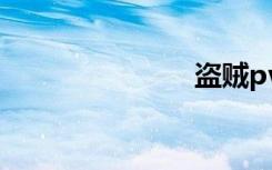 盗贼pvp手法