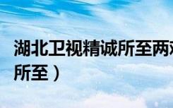 湖北卫视精诚所至两难的选择（湖北卫视精诚所至）
